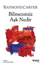 Bilmezsiniz Aşk Nedir