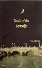 Bozkır’da Ayışığı