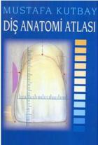 Diş Anatomi Atlası