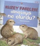 Kuzey Fareleri Olmasaydı Ne Olurdu Tundra Ekosistemi 10 Yaş