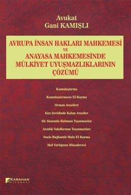 Avrupa İnsan Hakları Mahkemesi ve Anayasa Mahkemesinde Mülkiyet Uyuşmazlıklarının Çözümü