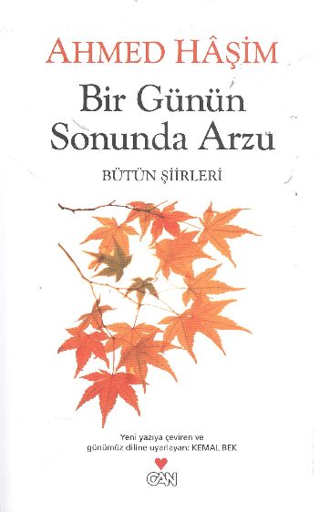 Bir Günün Sonunda Arzu Bütün Şiirleri