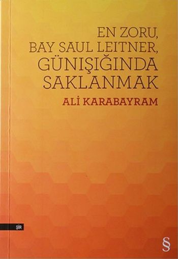 En Zoru Bay Saul Leitner-Günışığında Saklanmak