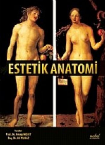 Estetik Anatomi