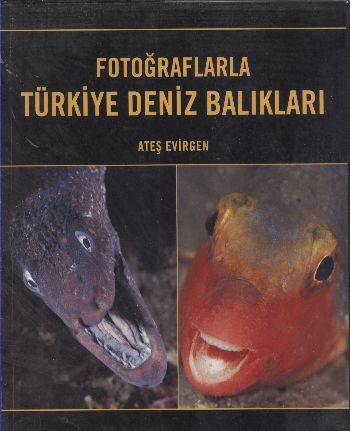 Fotoğraflarla Türkiye Deniz Balıkları