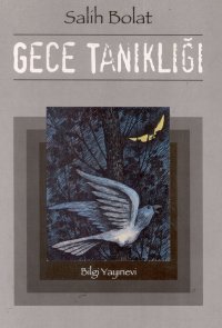 Gece Tanıklığı