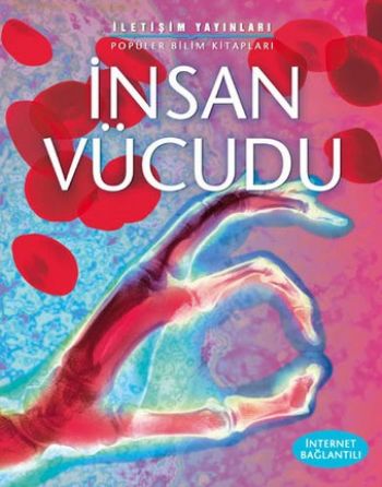 İnsan Vücudu