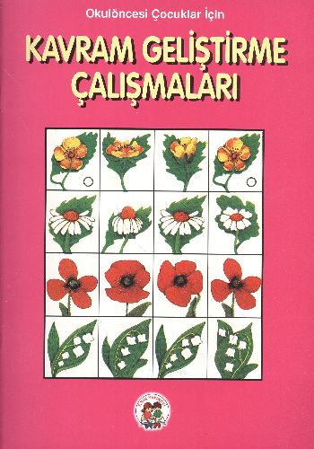 Kavram Geliştirme Çalışmaları