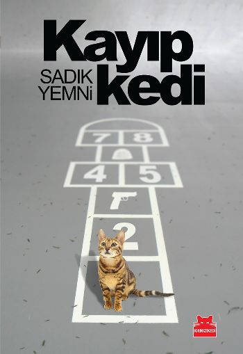 Kayıp Kedi