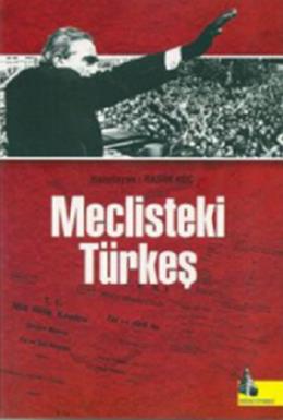 Meclisteki Türkeş