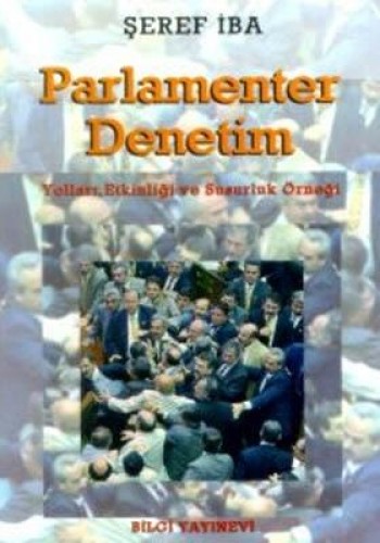 Parlamenter Denetim Yolları, Etkinliği ve Susurluk Örneği