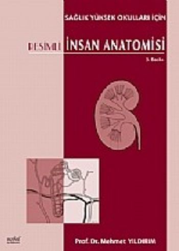 Resimli İnsan Anatomisi