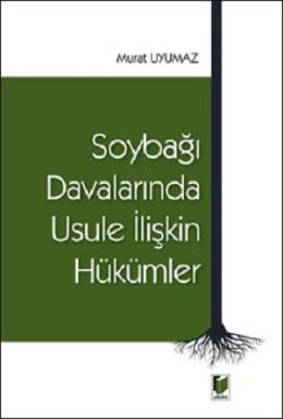 Soybağı Davalarında Usule İlişkin Hükümler