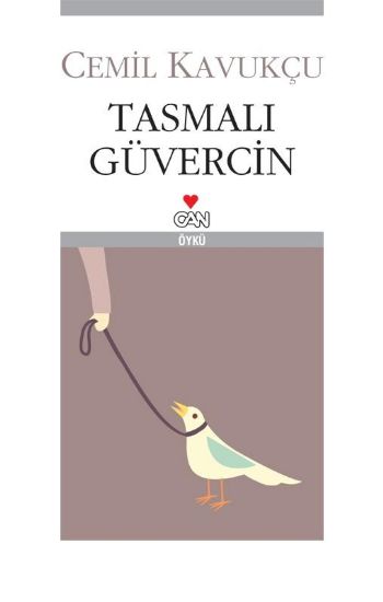 Tasmalı Güvercin