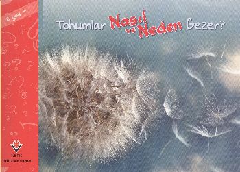 Tohumlar Nasıl ve Neden Gezer 6 Yaş